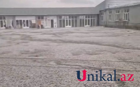 Gədəbəy və Şəmkirə dolu düşdü